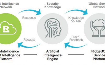 Transforming Security Validation with RidgeBOT