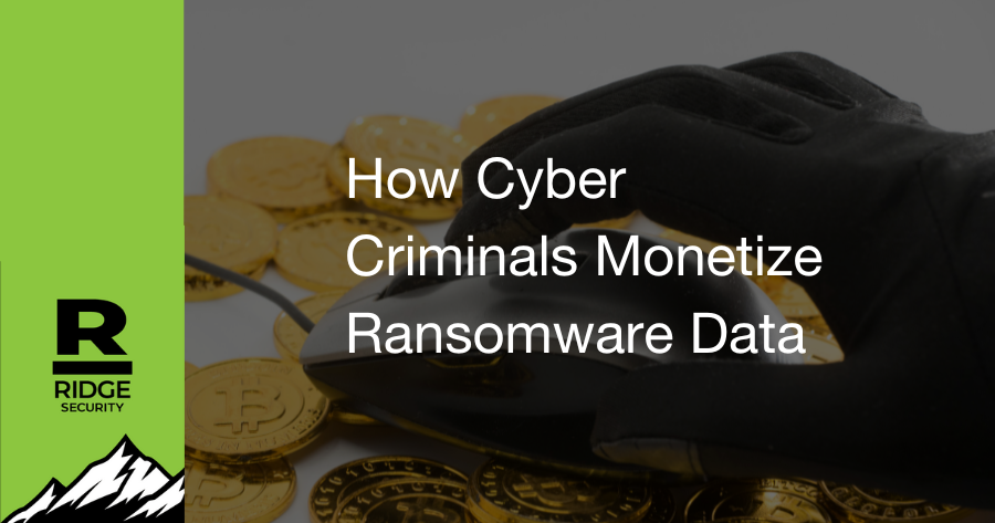 How Cyber Criminals Monetize Ransomware Data