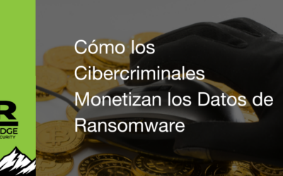 Cómo los Cibercriminales Monetizan los Datos de Ransomware