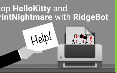 Stop HelloKitty and PrintNightmare with RidgeBot