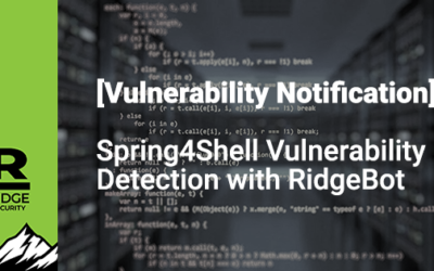 Spring4Shell Vulnerability Detection with RidgeBot